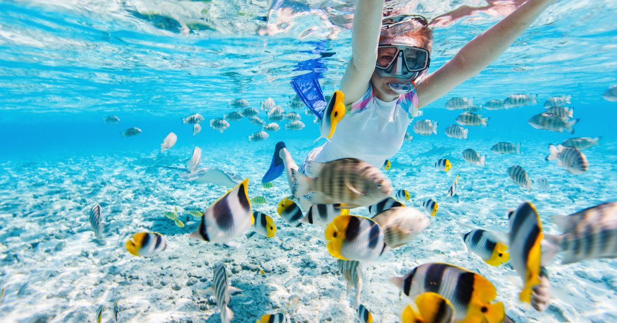 experience Snorkelling in the Great Barrier Reef