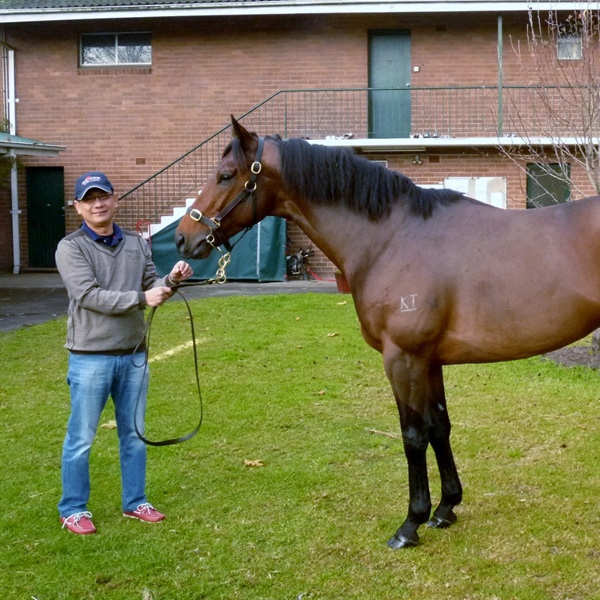 Horse Racing Meet Singapore S Leading Horse Owner Jayven See Vanilla Luxury