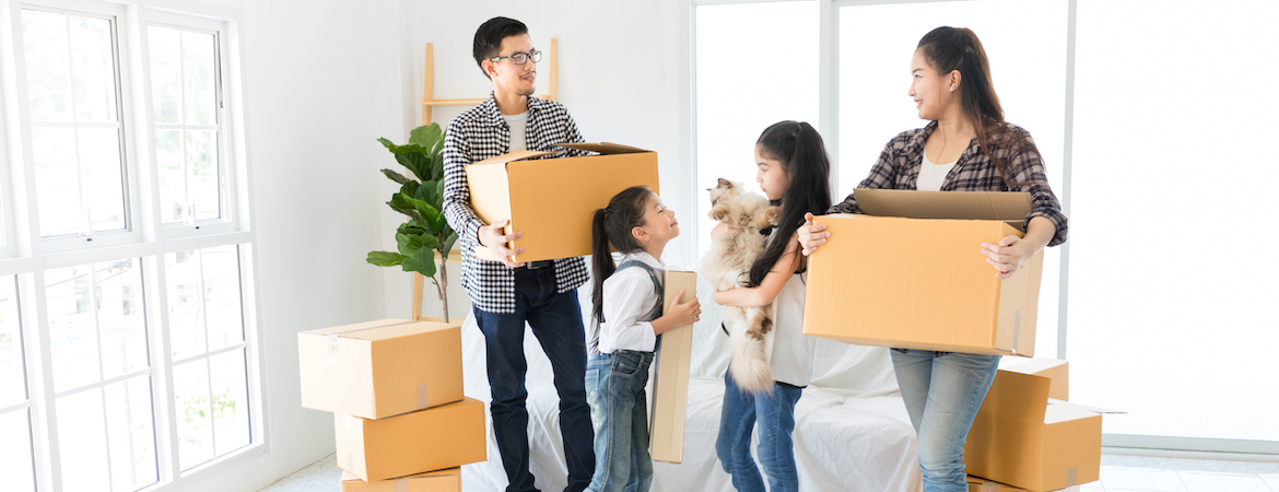 Singapore’s Movers and Packers For a Stress-Free Office or House Move