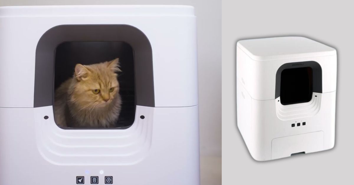 Aclium Automatic Cat Litter Box