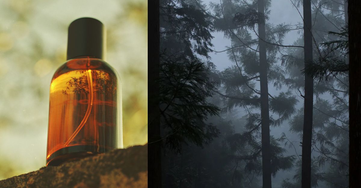 Aesop: Hwyl eau de parfum– A Woody, Meditative Experience