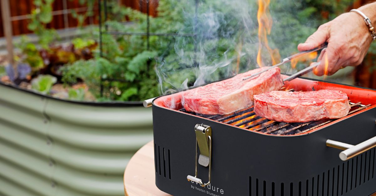 CUBE™ by Everdure – Grill On The Go With This Handy Contraption