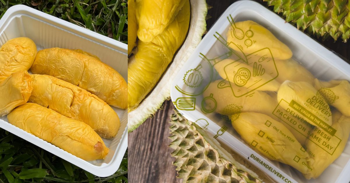 Durian Delivery buy durian online Singapore