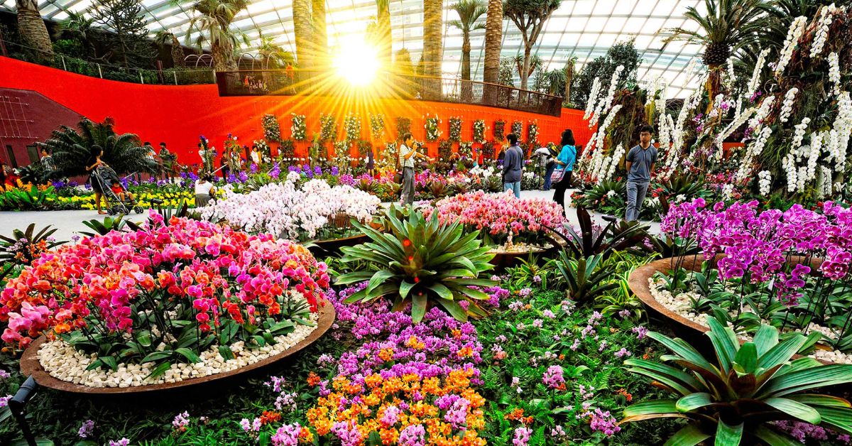 Gardens by the Bay – Unlimited Members’ Access to Flower Dome, And More