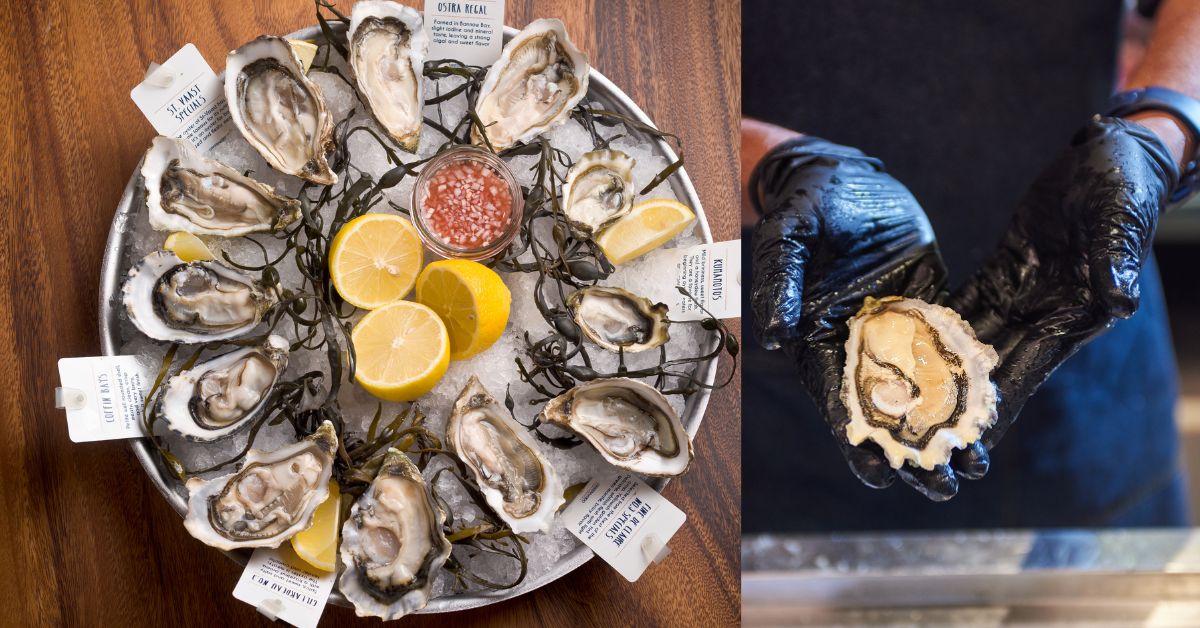   12th Annual World Oyster Festival at Greenwood Fish Market - Enjoy 22 Ocean Fresh Oyster Varietals from 8 Countries  