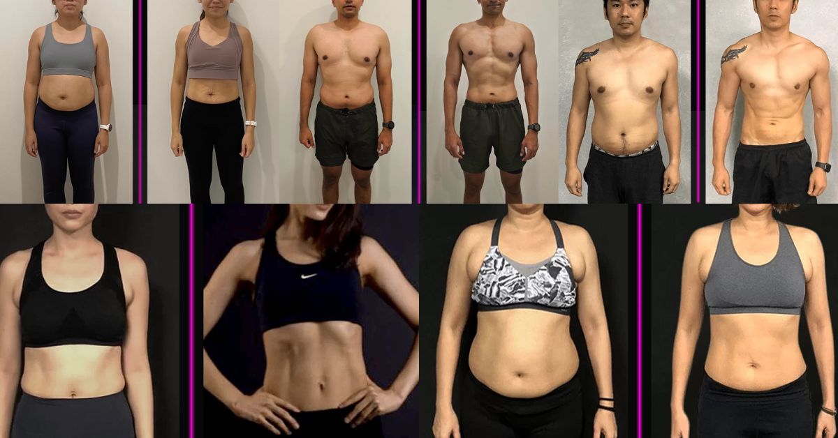 META Performance - For Body Transformations in 12 to 16 Weeks  