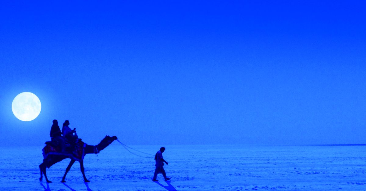 The Rann of Kutch, Gujarat - Salt Dessert Exploration in India