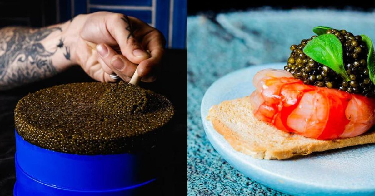 Nomad Caviar - Luxurious Kaluga Hybrid Caviar Singapore