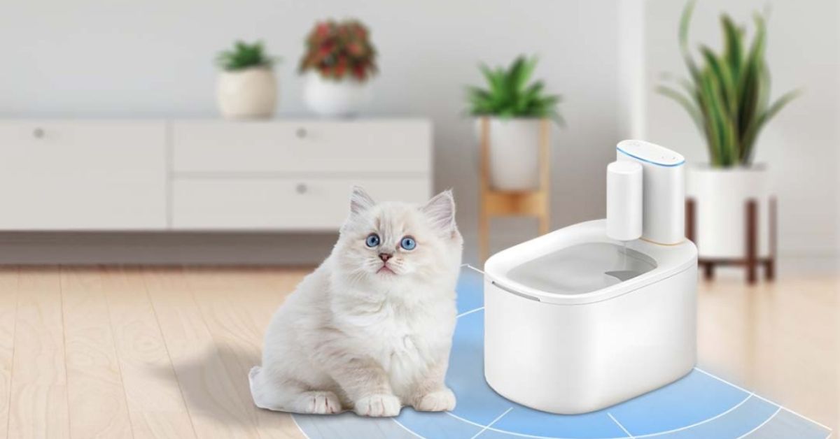  automatic water dispenser for cat