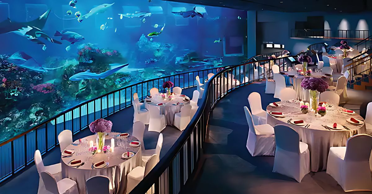 Open Ocean Habitat at S.E.A Aquarium - unique party location - SEA singapore