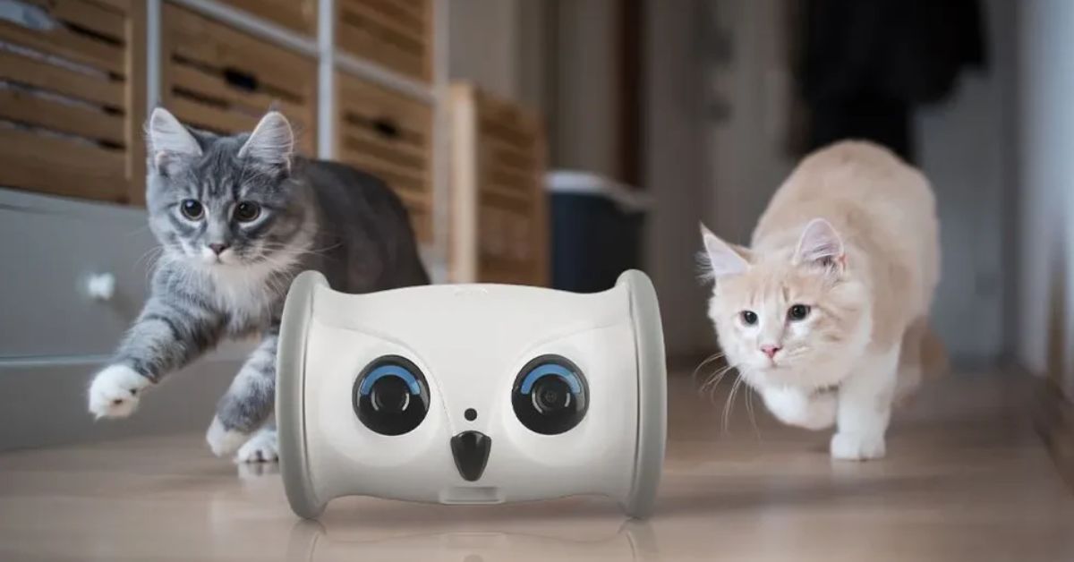 Skymee Owl Robot Pet Camera & Pet Treats Dispenser