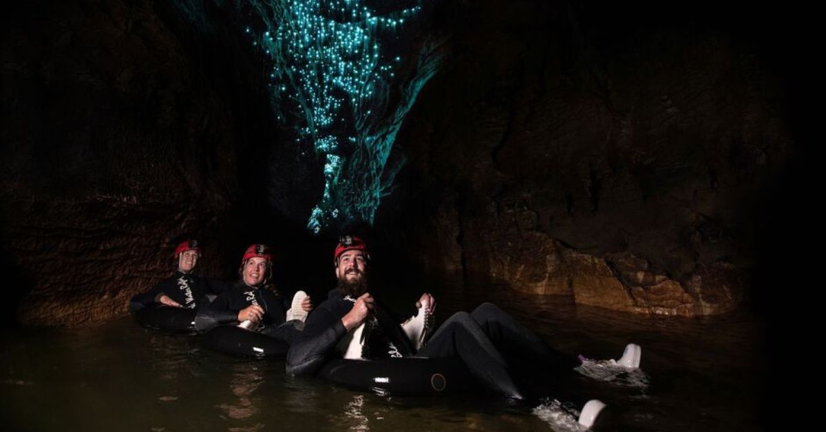 Take in Fireflies at Waitomo, New Zealand