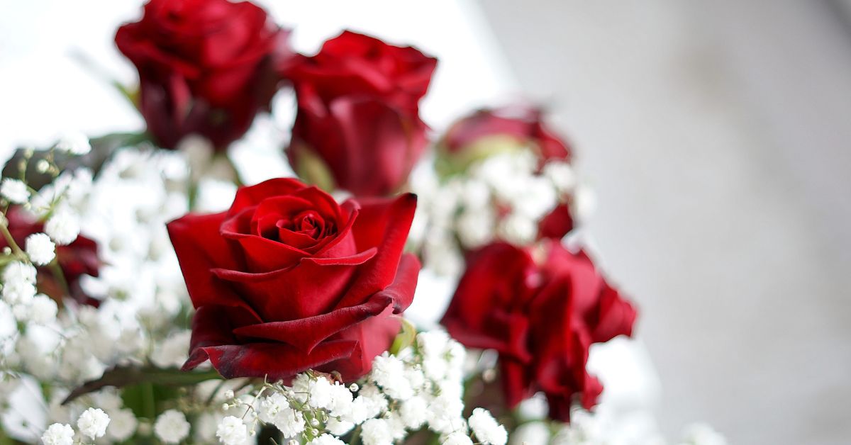 Roses Only - A Florist Specialising In Roses