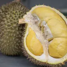 where to eat durian in singapore