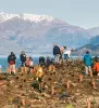 New Zealand Invites You To Join Them In Planting A ‘Forest of Hope’ 